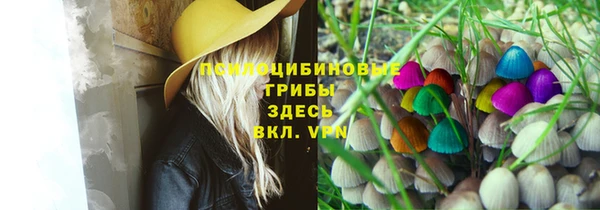 тгк Горняк