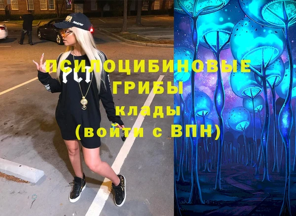 тгк Горняк