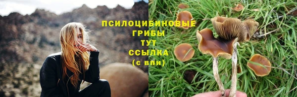 тгк Горняк