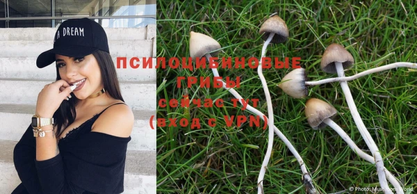 меф VHQ Горнозаводск